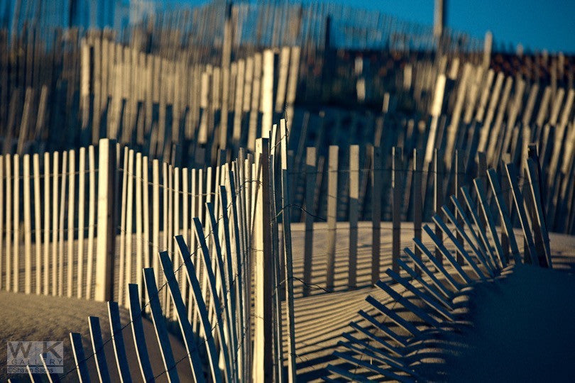 Hampton Dunes