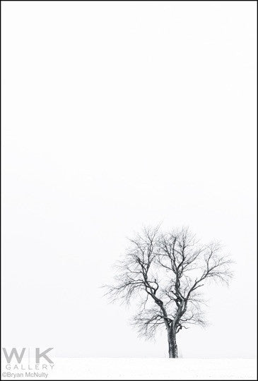 Winter. Finchville I