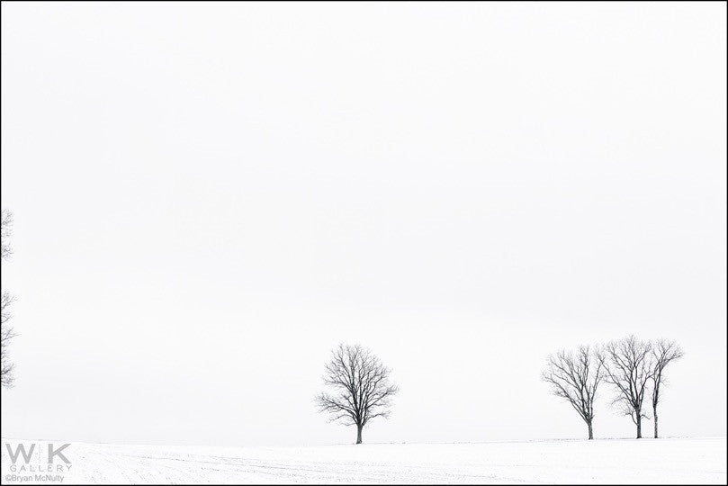 Winter. Finchville II