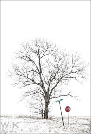 Winter. Finchville III