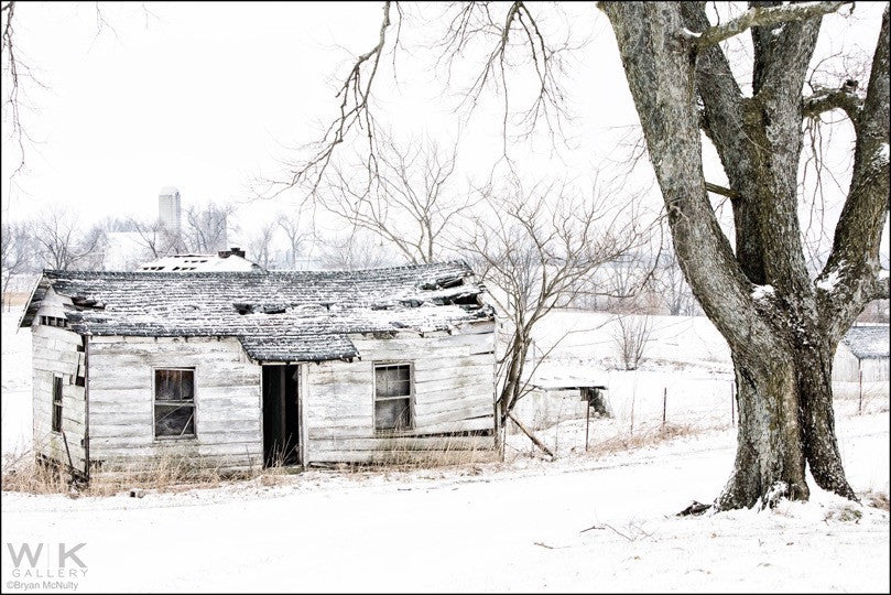 Winter. Finchville IV