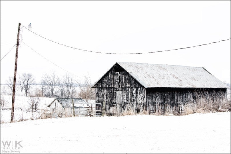 Winter. Finchville V