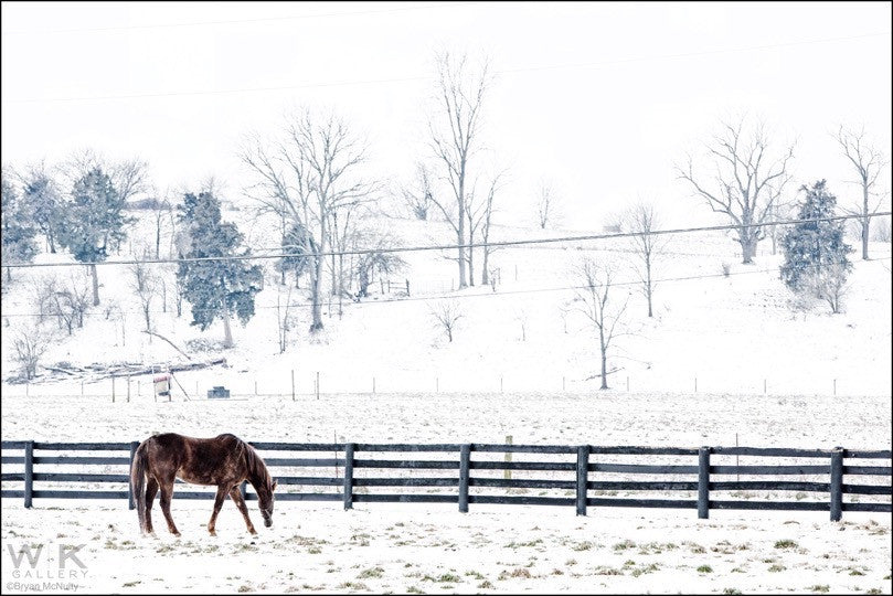 Winter. Finchville VI