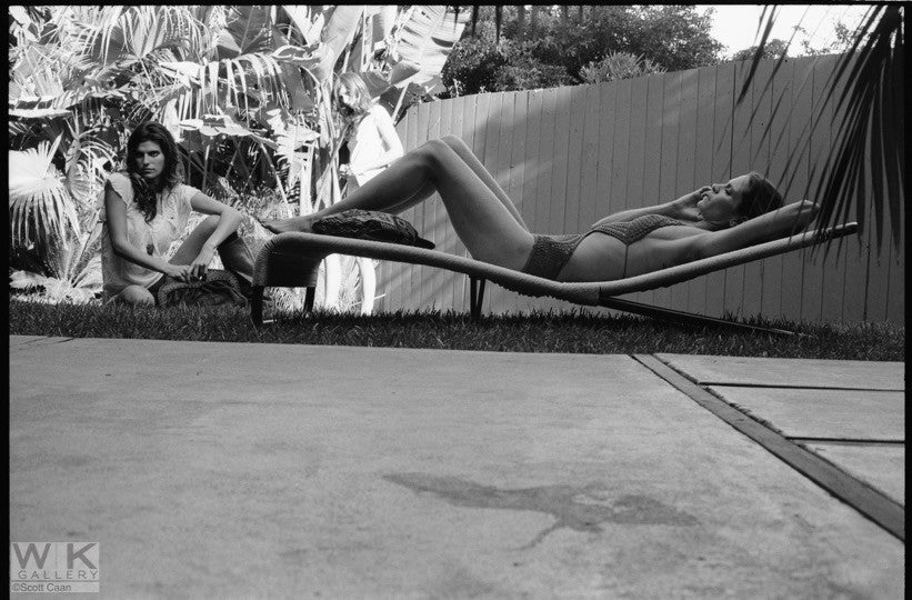 Bird Shoot In the Belushi Suit