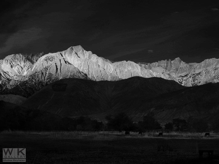 Looking for Ansel Adams no. 1