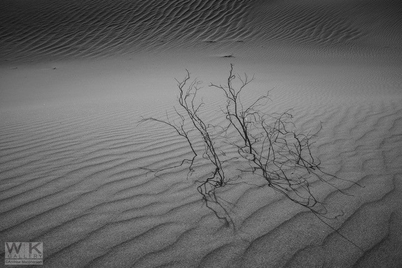 Looking for Ansel Adams no. 3