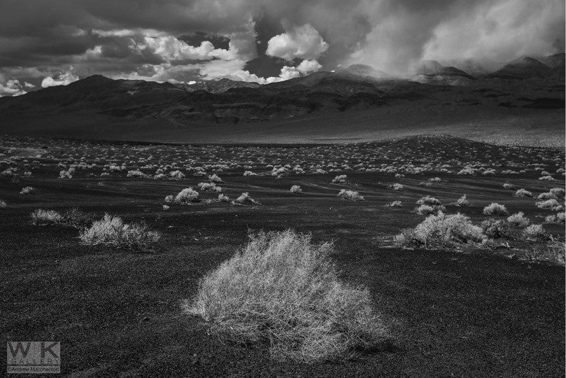 Looking for Ansel Adams no. 17