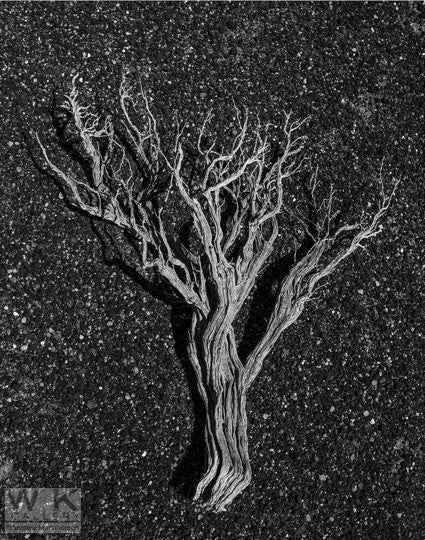 Looking for Ansel Adams no. 9