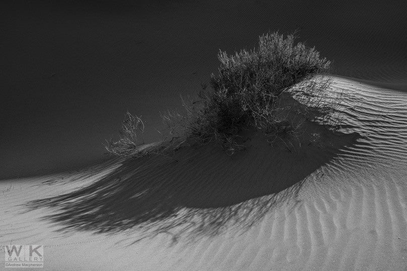 Looking for Ansel Adams no. 15