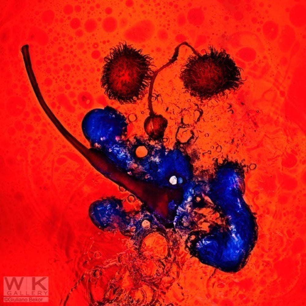 Echoes no.2.      Price on Request