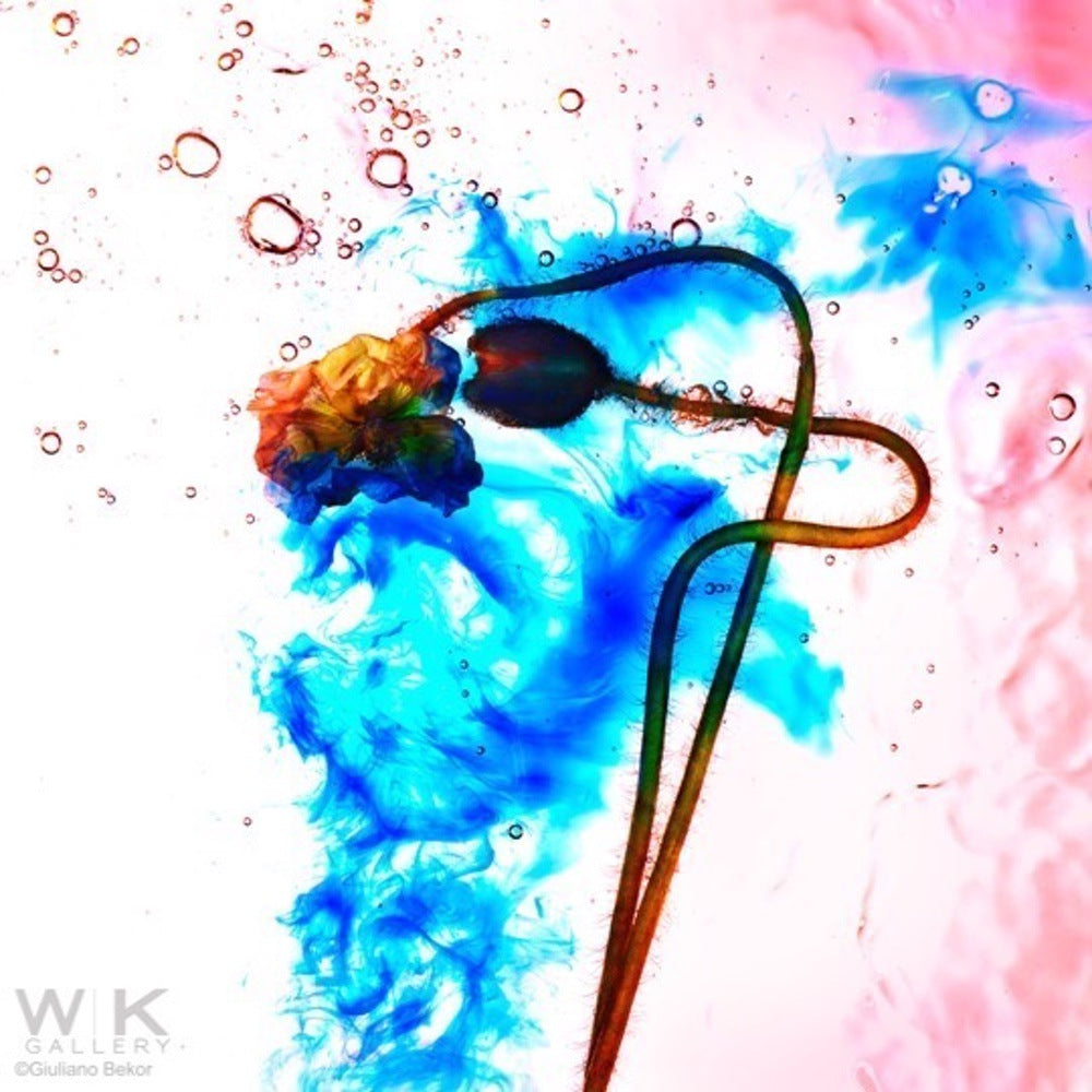 Echoes no.3.    Price on Request