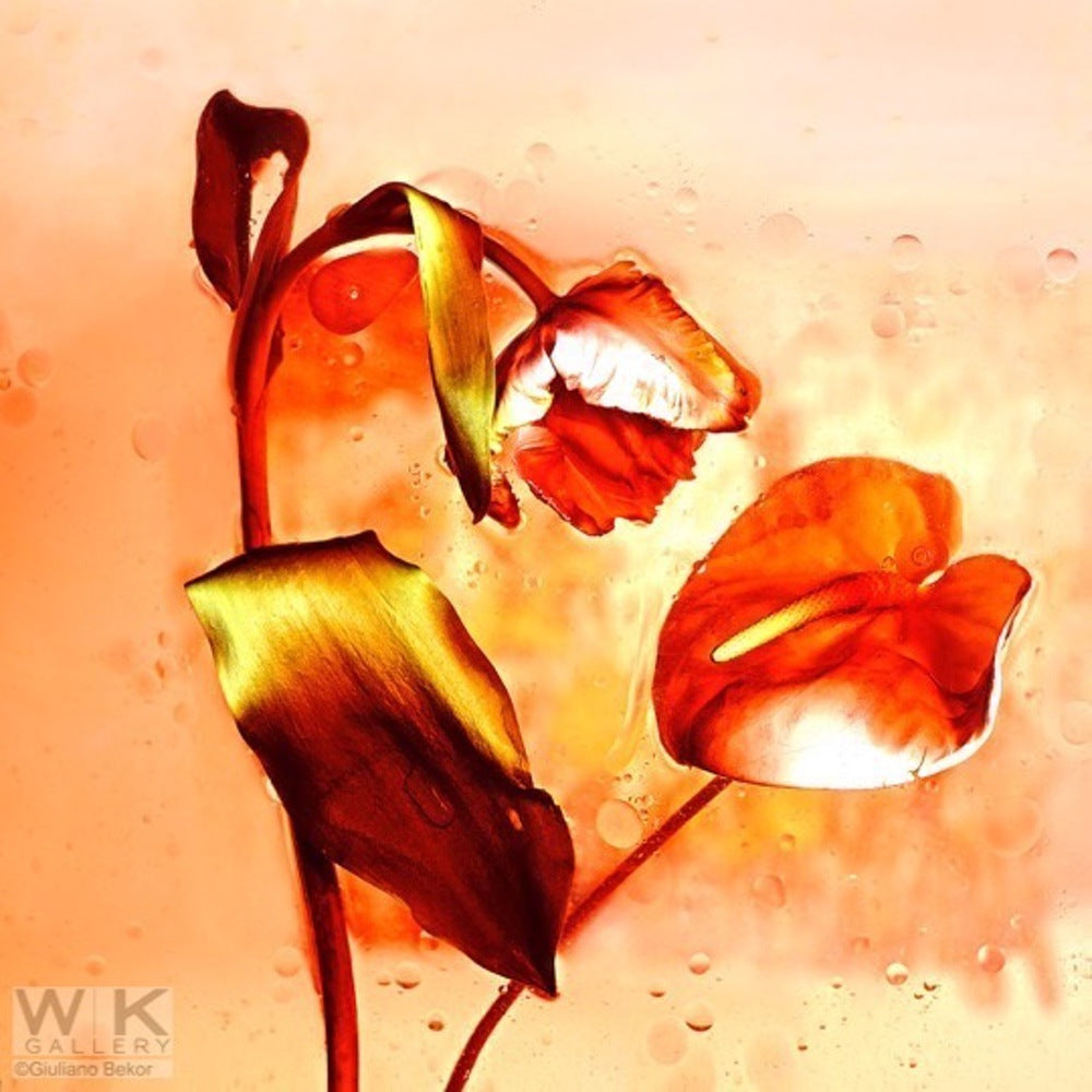 Echoes no.8.    Price on Request