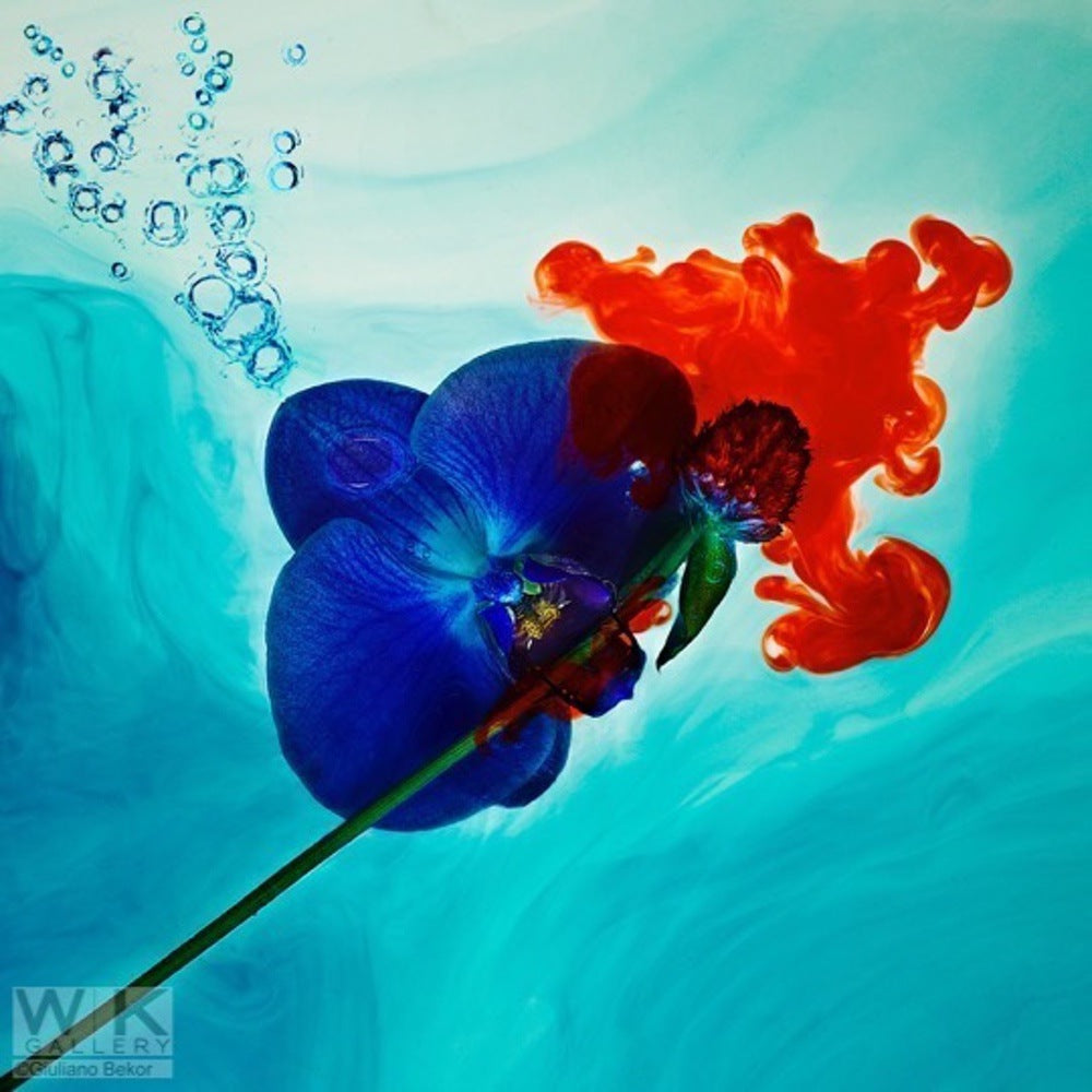 Echoes no.5.  Price on Request