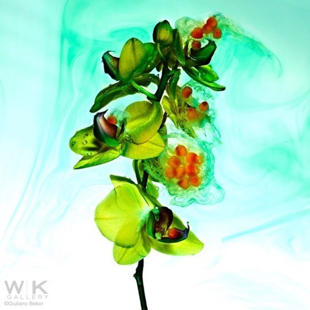 Echoes no.7.    Price on Request