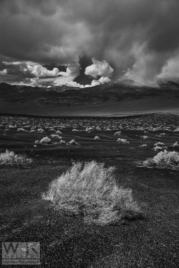 Looking for Ansel Adams no. 8 – Weiss Katz Gallery
